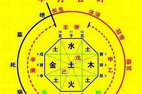 喜用金土|八字喜用神到底是什么